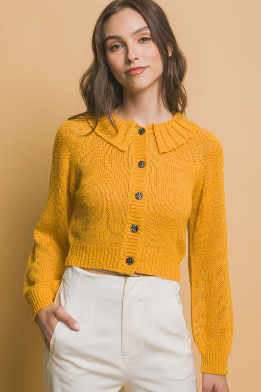 Short collard sweater - Exotic Bear Boutique