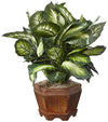 Nearly Natural 6720 Triple Golden Dieffenbachia Plant with Wood Vase, Green - Exotic Bear LifeStyle