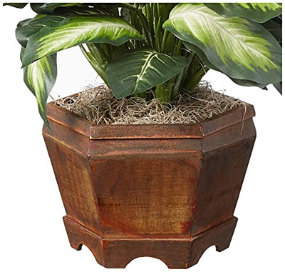 Nearly Natural 6720 Triple Golden Dieffenbachia Plant with Wood Vase, Green - Exotic Bear LifeStyle