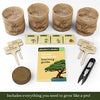 Exotic Bear LifeStyle Trends Boutique - Planters' Choice Bonsai Starter Kit - The Complete Kit to Easily Grow 4 Bonsai Trees from Seed with Comprehensive Guide & Bamboo Plant Markers - Unique Gift Idea (Bonsai)