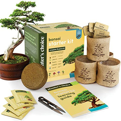 Exotic Bear LifeStyle Trends Boutique - Planters' Choice Bonsai Starter Kit - The Complete Kit to Easily Grow 4 Bonsai Trees from Seed with Comprehensive Guide & Bamboo Plant Markers - Unique Gift Idea (Bonsai)