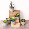 Small Artificial Succulents Plants Artificial Potted Fake Plant Decor Bedroom Aesthetic (6 Piece Faux Succulents in Pots 2.3") Fake Succulent Decor Fake Succulents Mini Succulents Desk Office