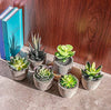 Small Artificial Succulents Plants Artificial Potted Fake Plant Decor Bedroom Aesthetic (6 Piece Faux Succulents in Pots 2.3") Fake Succulent Decor Fake Succulents Mini Succulents Desk Office